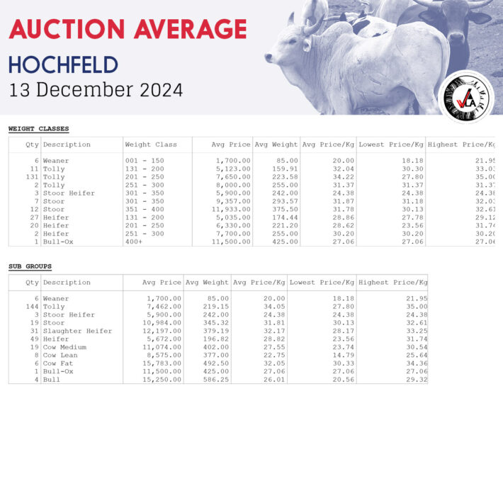 Auction Average - Hochfeld 13 December 2024