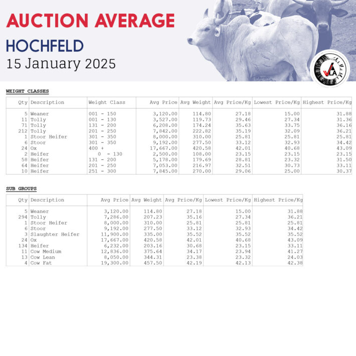 Auction Average - Hochfeld 15 January 2025