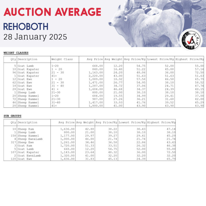Auction Average - Rehoboth 28 January 2025