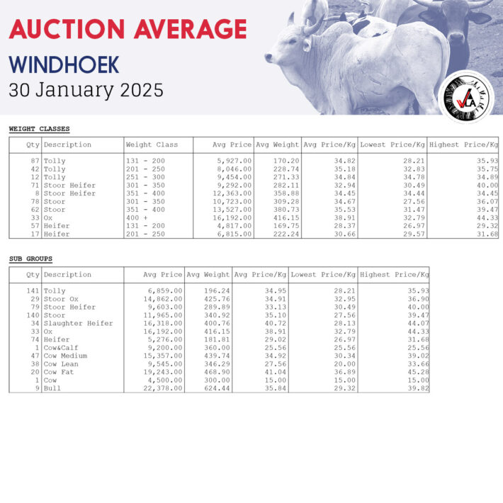 Auction Average - Windhoek 30 January 2025