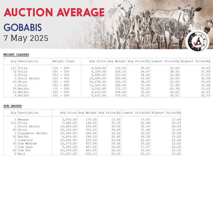 Auction Average - Gobabis 7 May 2025
