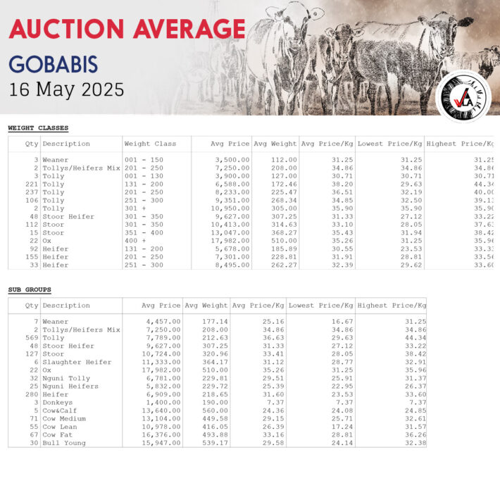 Auction Average - Gobabis 16 May 2025
