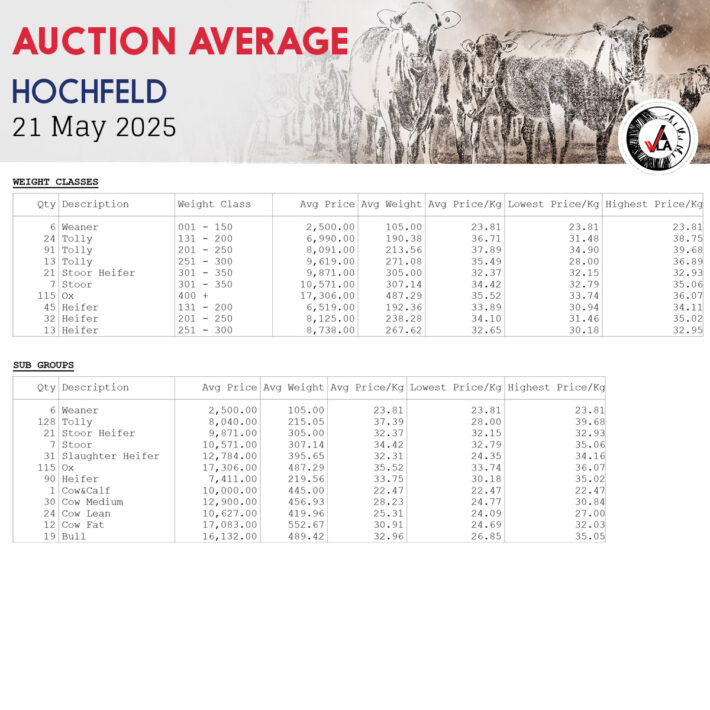Auction Average - Hochfeld 21 May 2025