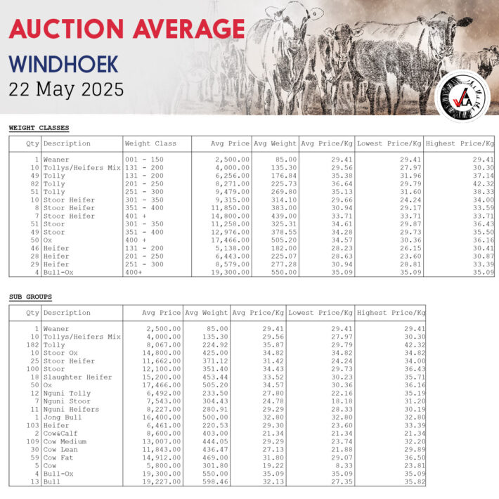 Auction Average - Windhoek 22 May 2025