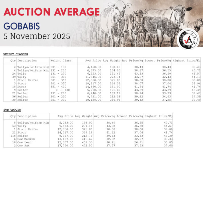 Auction Average - Gobabis 5 November 2025