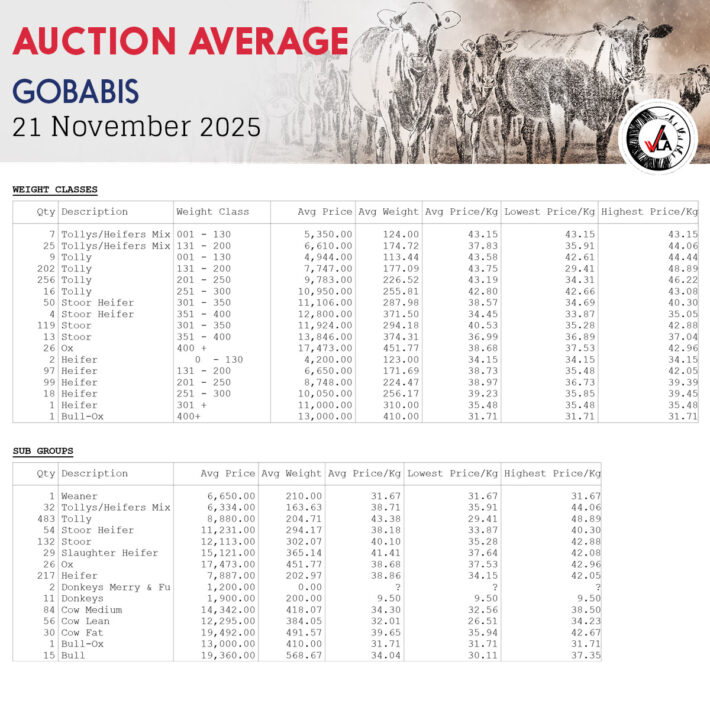 Auction Average - Gobabis 21 November 2025