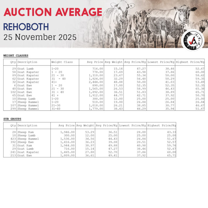 Auction Average - Rehoboth 25 November 2025