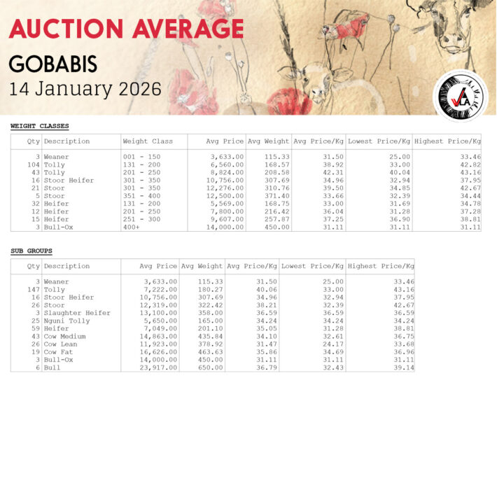Auction Average - Gobabis 14 January 2026