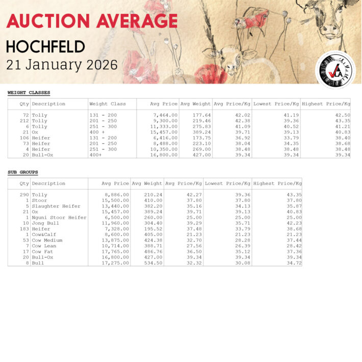 Auction Average - Hochfeld 21 January 2026