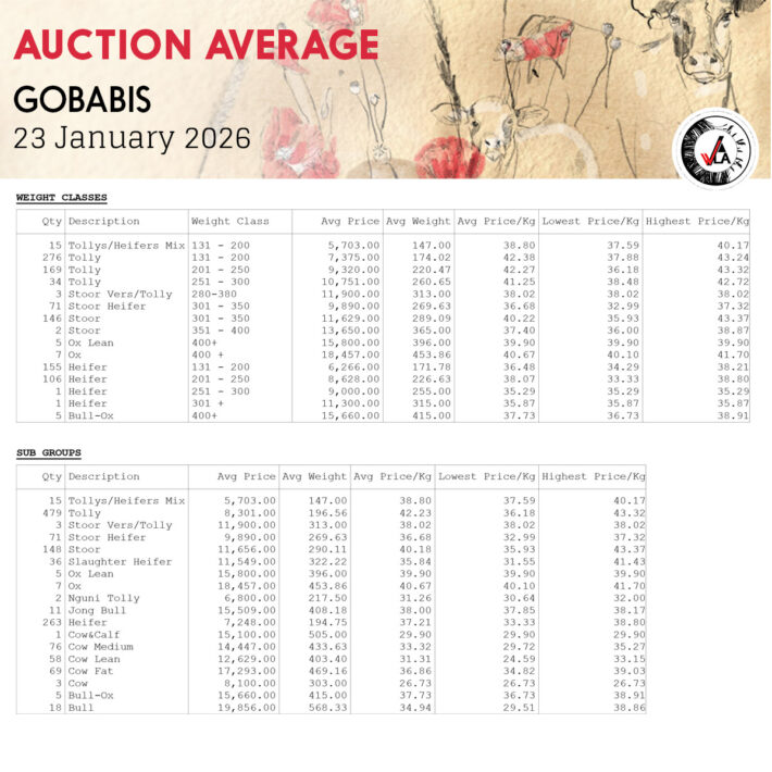 Auction Average - Gobabis 23 January 2026