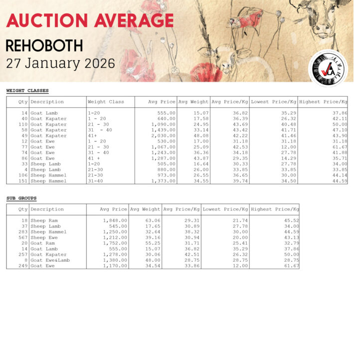 Auction Average - Rehoboth 27 January 2026