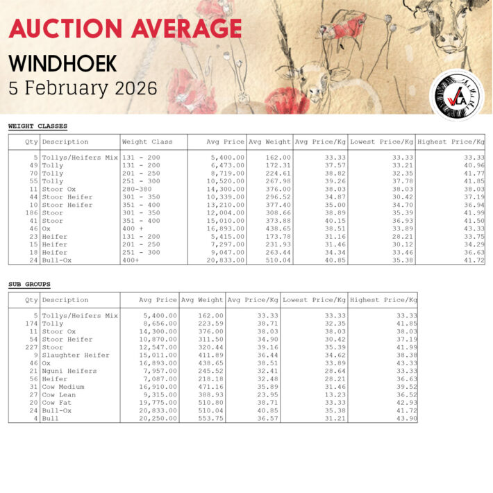 Auction Average - Windhoek 5 February 2026