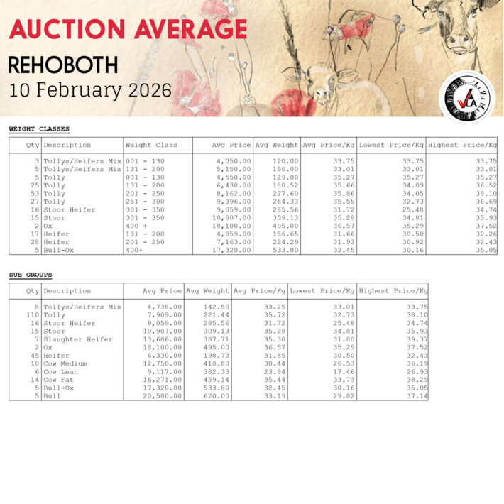 Auction Average - Rehoboth 10 February 2026