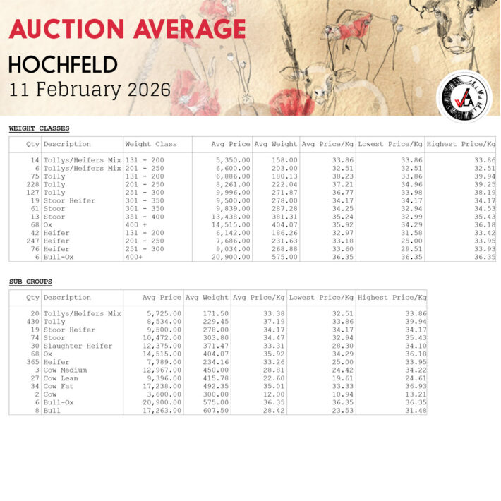 Auction Average - Hochfeld 11 February 2026