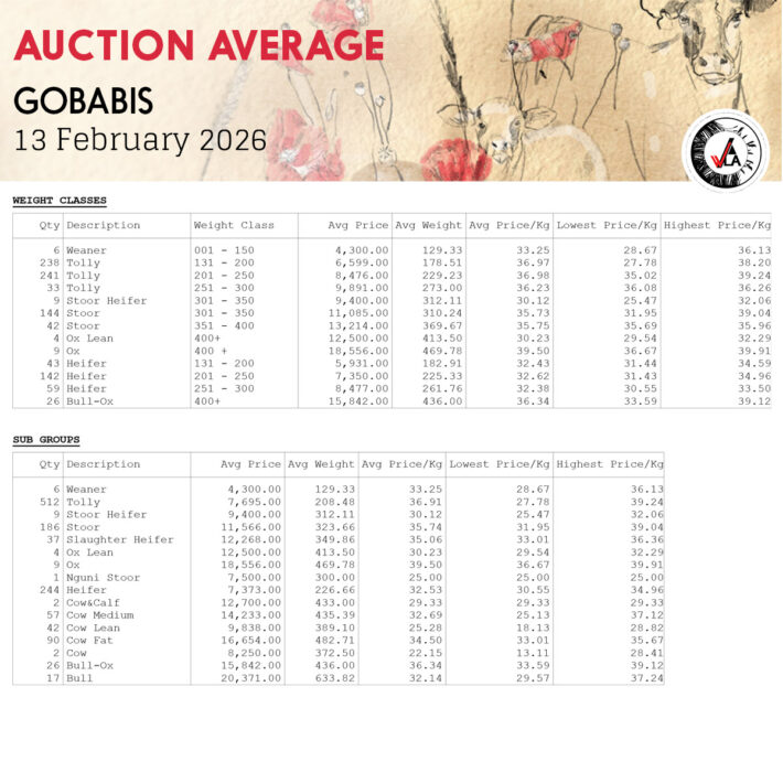 Auction Average - Gobabis 13 February 2026