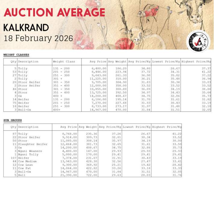 Auction Average - Kalkrand 18 February 2026