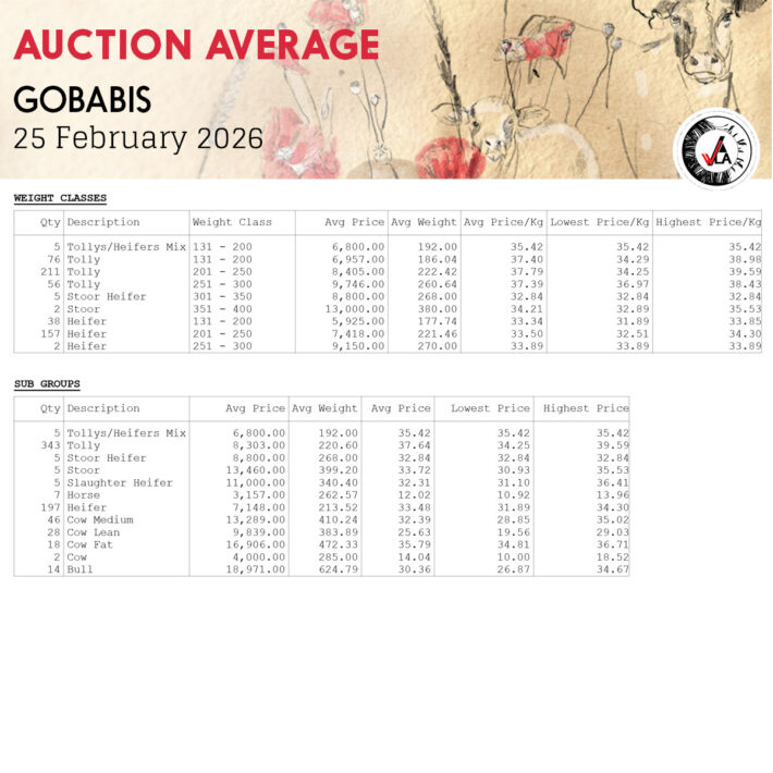 Auction Average - Gobabis 25 February 2026