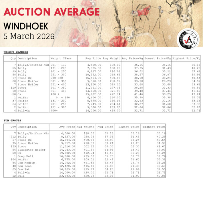 Auction Average - Windhoek 5 March 2026
