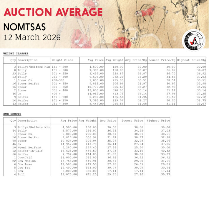 Auction Average - Nomtsas 12 March 2026