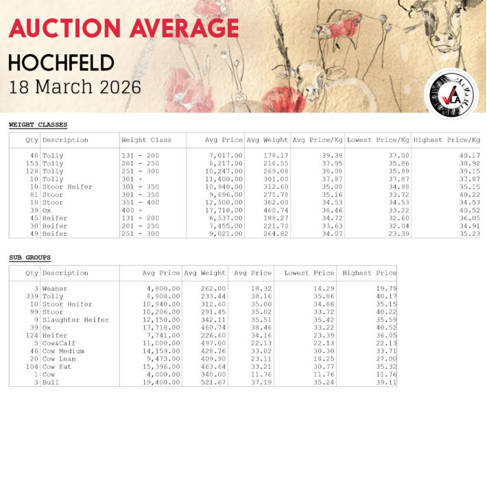 Auction Average - Hochfeld 18 March 2026