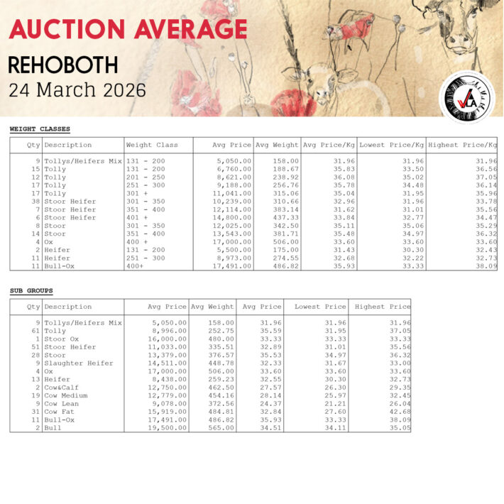 Auction Average - Rehoboth 24 March 2026