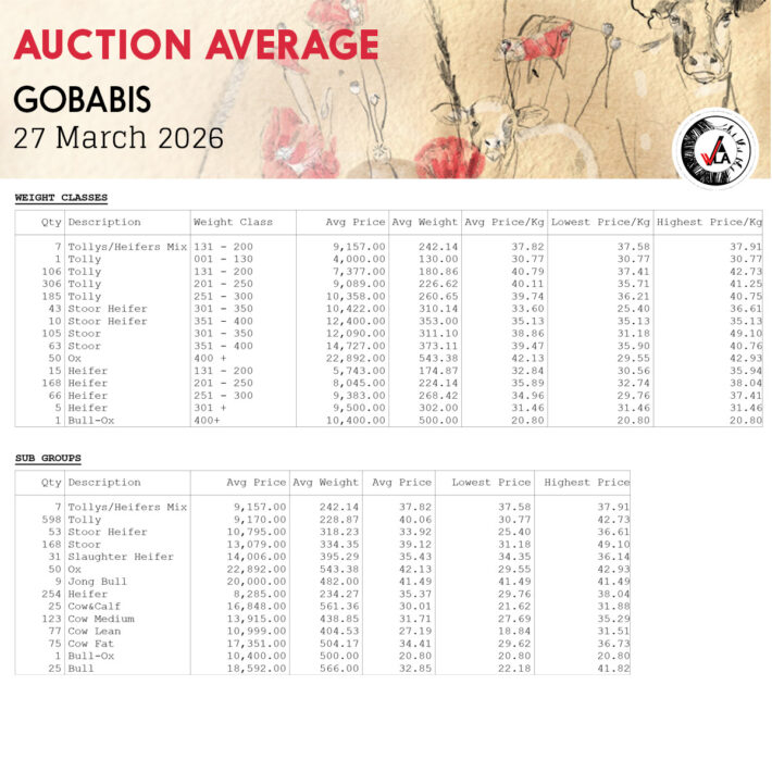 Auction Average - Gobabis 27 March 2026