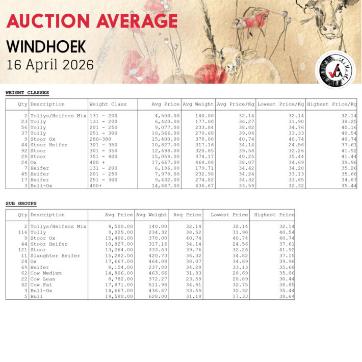 Auction Average - Windhoek 16 April 2026