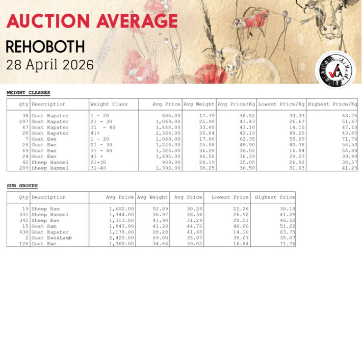 Auction Average - Rehoboth 28 April 2026