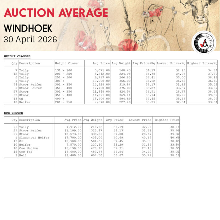 Auction Average - Windhoek 30 April 2026