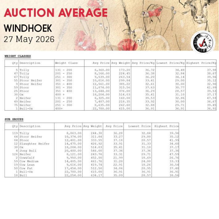 Auction Average - Windhoek 27 May 2026