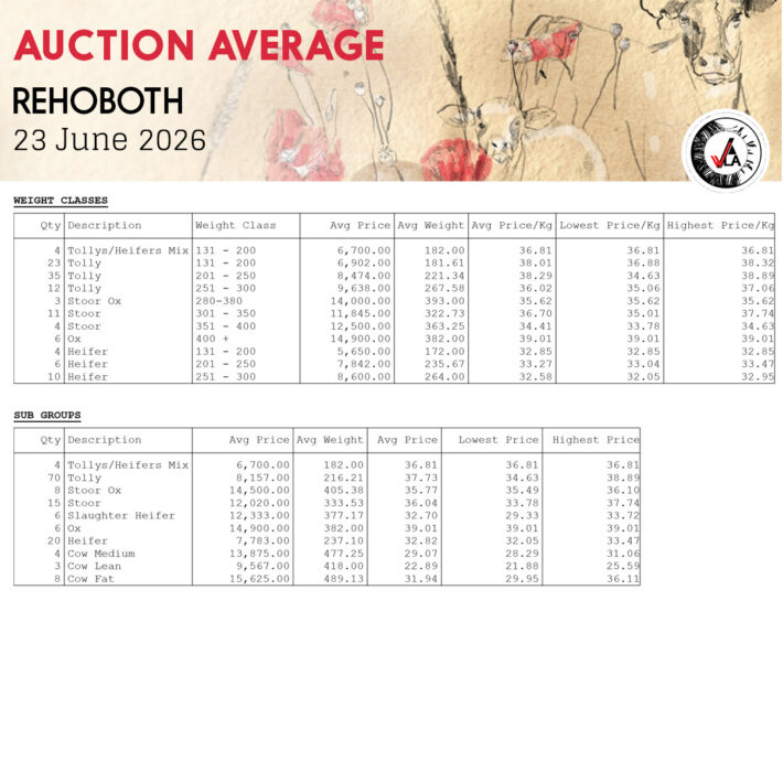 Auction Average - Rehoboth 23 June 2026
