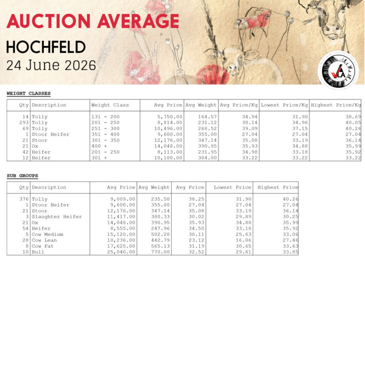 Auction Average - Hochfeld 24 June 2026