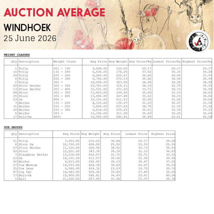 Auction Average - Windhoek 25 June 2026