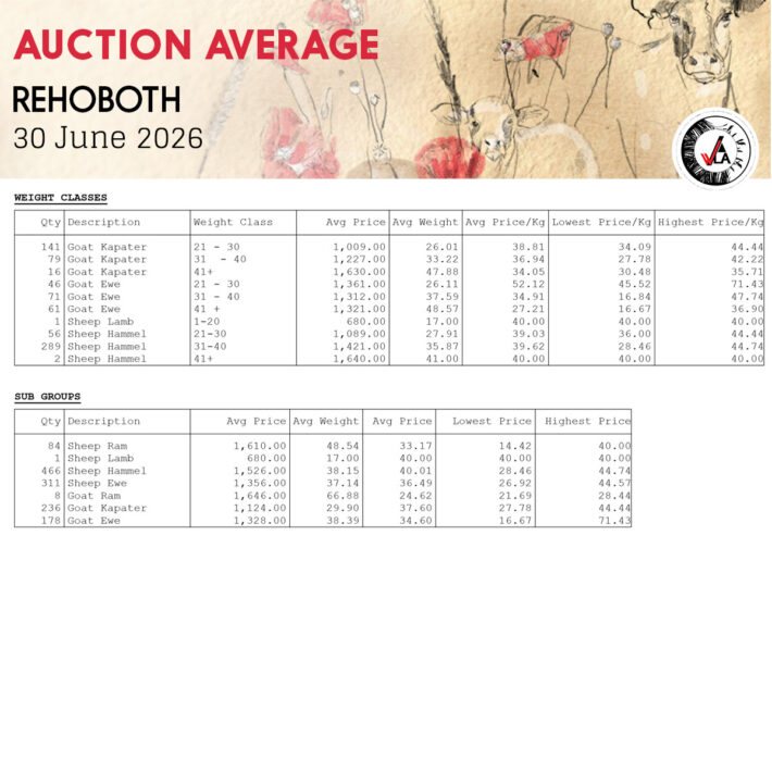 Auction Average - Rehoboth 30 June 2026