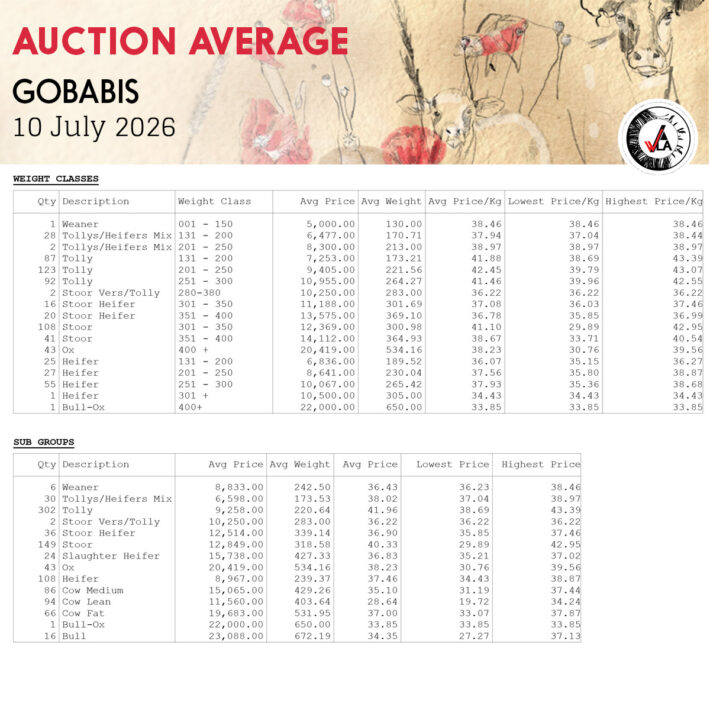 Auction Average - Gobabis 10 July 2026