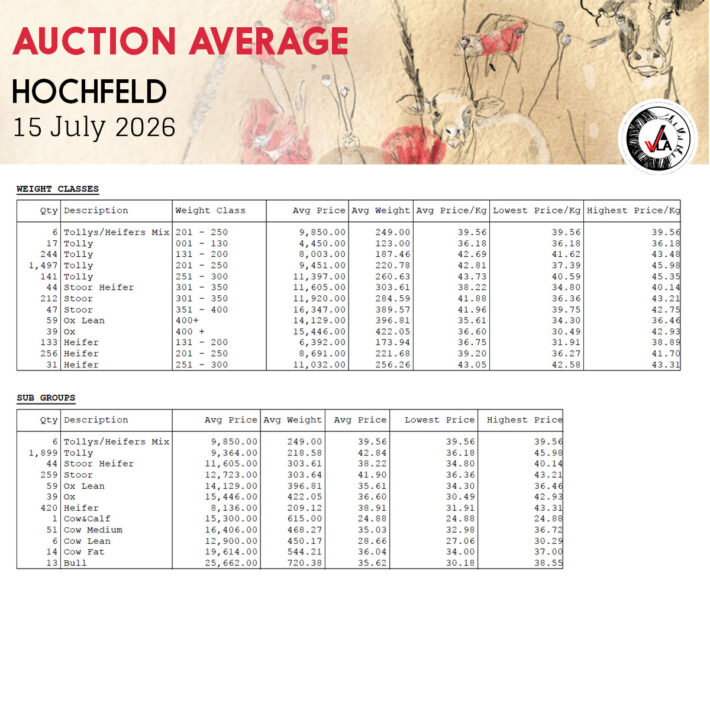 Auction Average - Hochfeld 15 July 2026