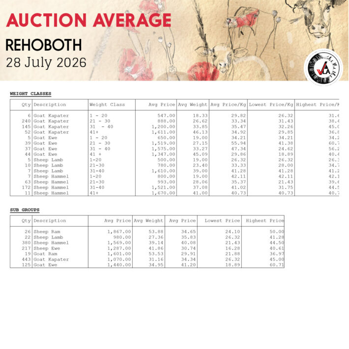 Auction Average - Rehoboth 29 July 2026