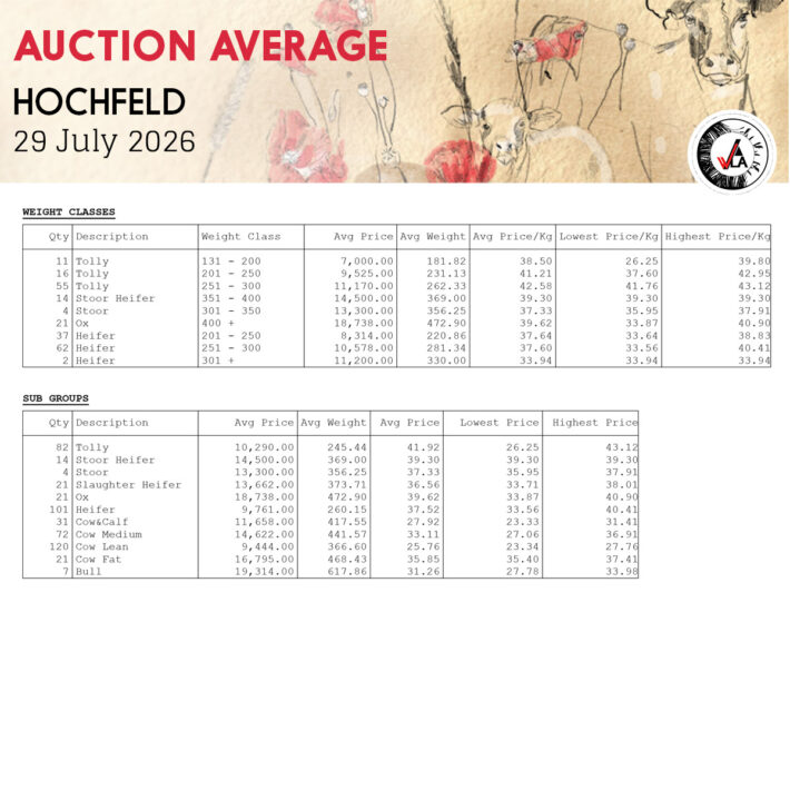 Auction Average - Hochfeld 29 July 2026