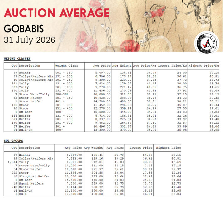 Auction Average - Gobabis 31 July 2026