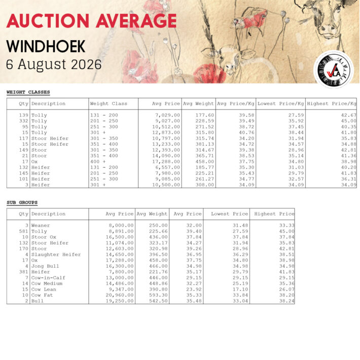 Auction Average - Windhoek 6 August 2026