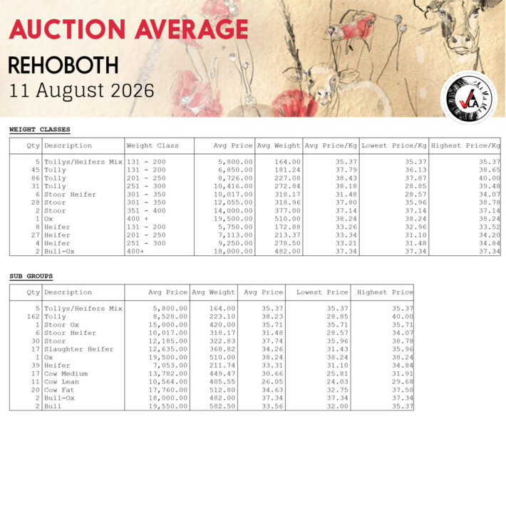 Auction Average - Rehoboth 11 August 2026