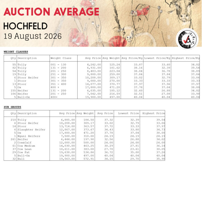 Auction Average - Hochfeld 19 August 2026