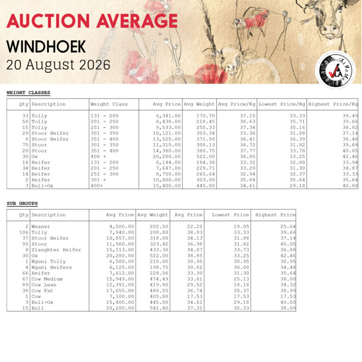 Auction Average - Windhoek 20 August 2026
