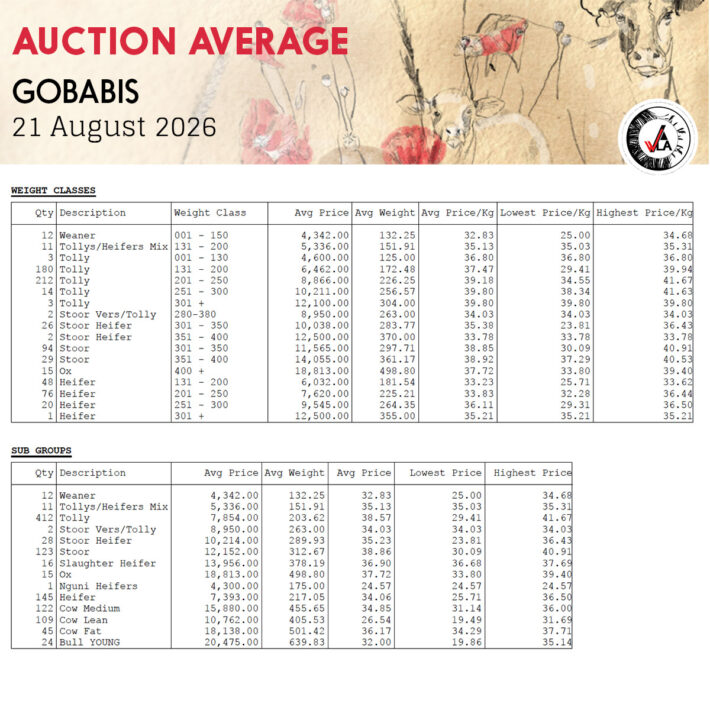 Auction Average - Gobabis 21 August 2026