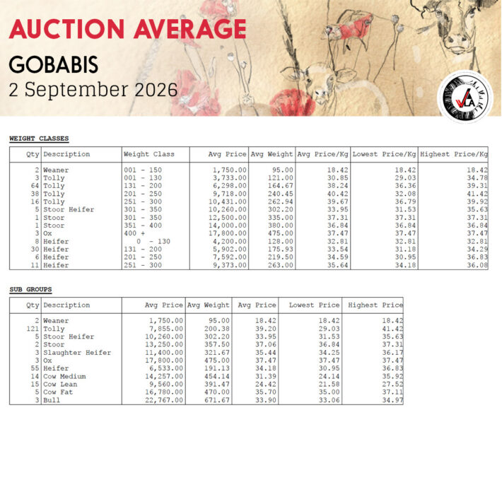 Auction Average - Gobabis 2 September 2026