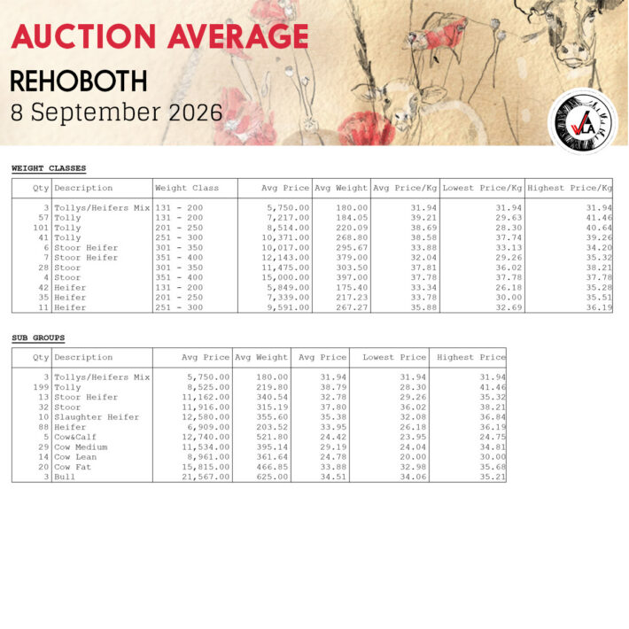 Auction Average - Rehoboth 8 September 2026